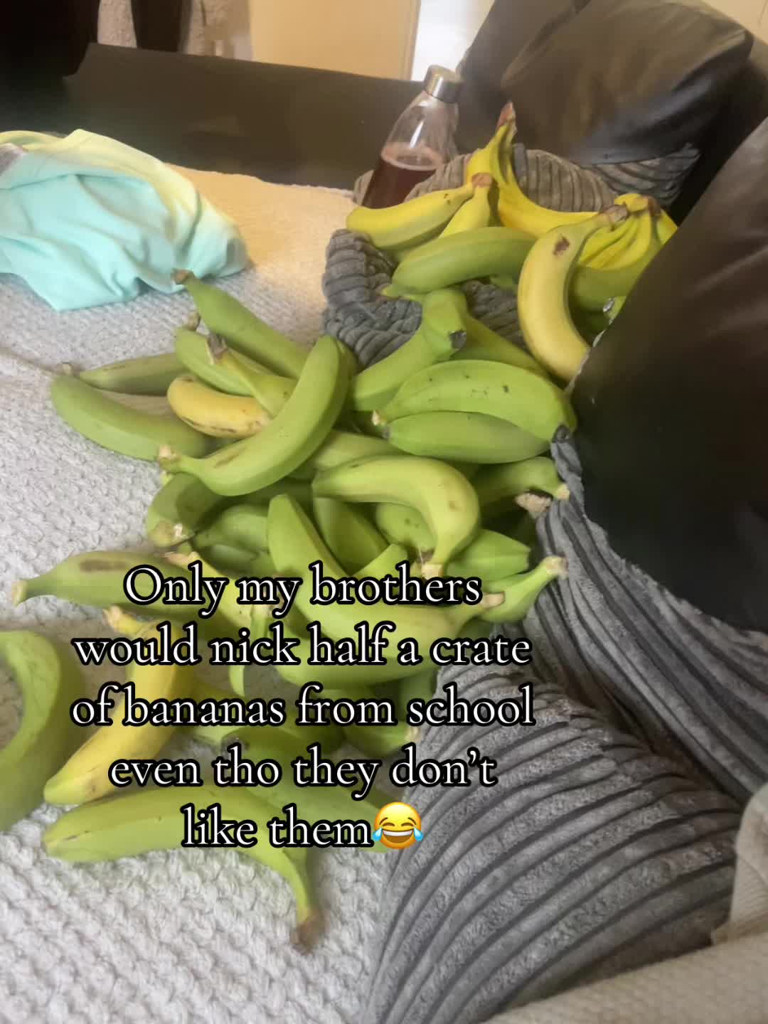 @Sophia