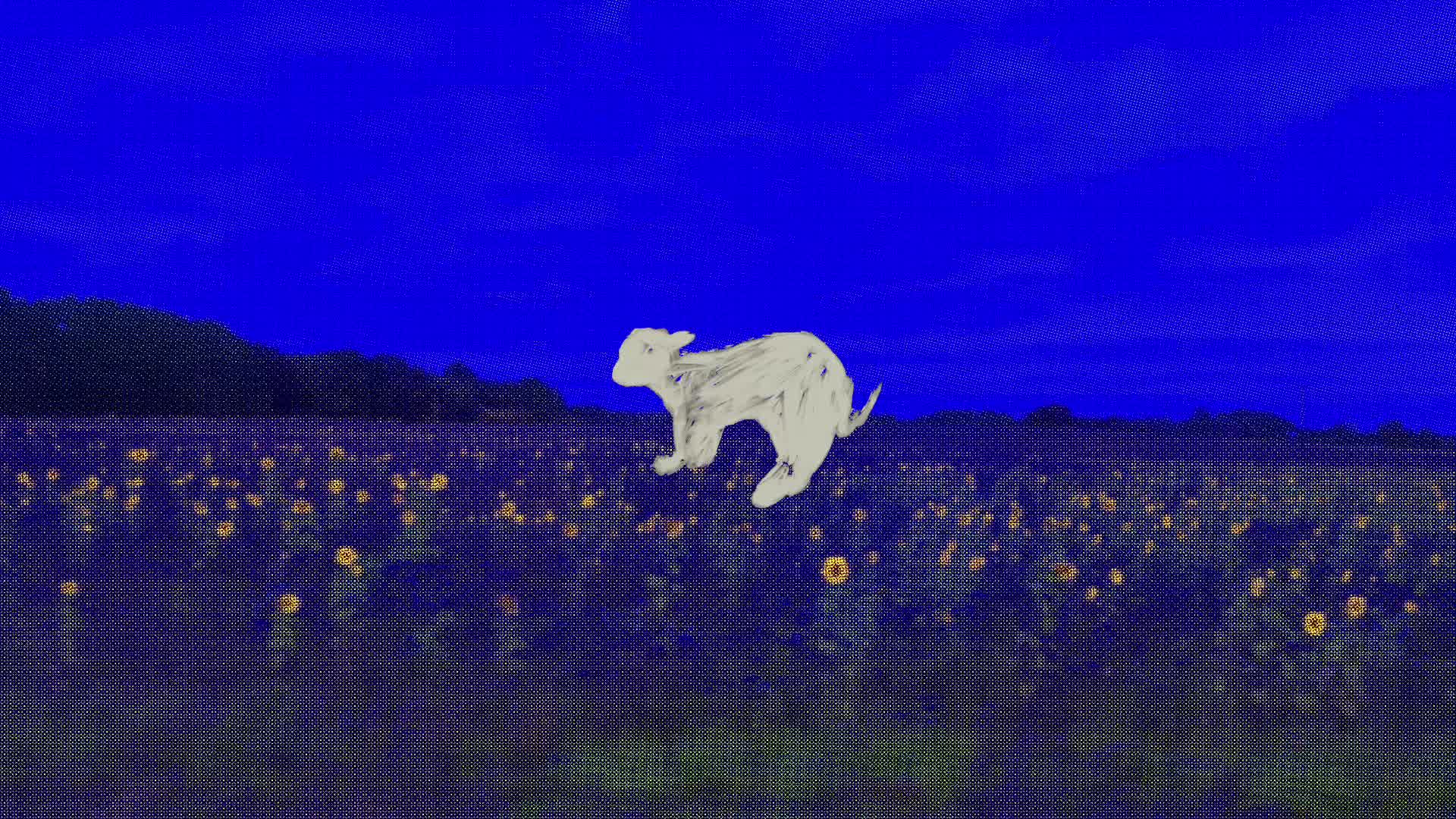 @No