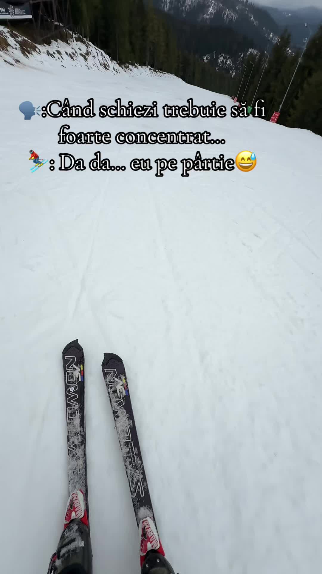 @Forest Ski & Snowboard