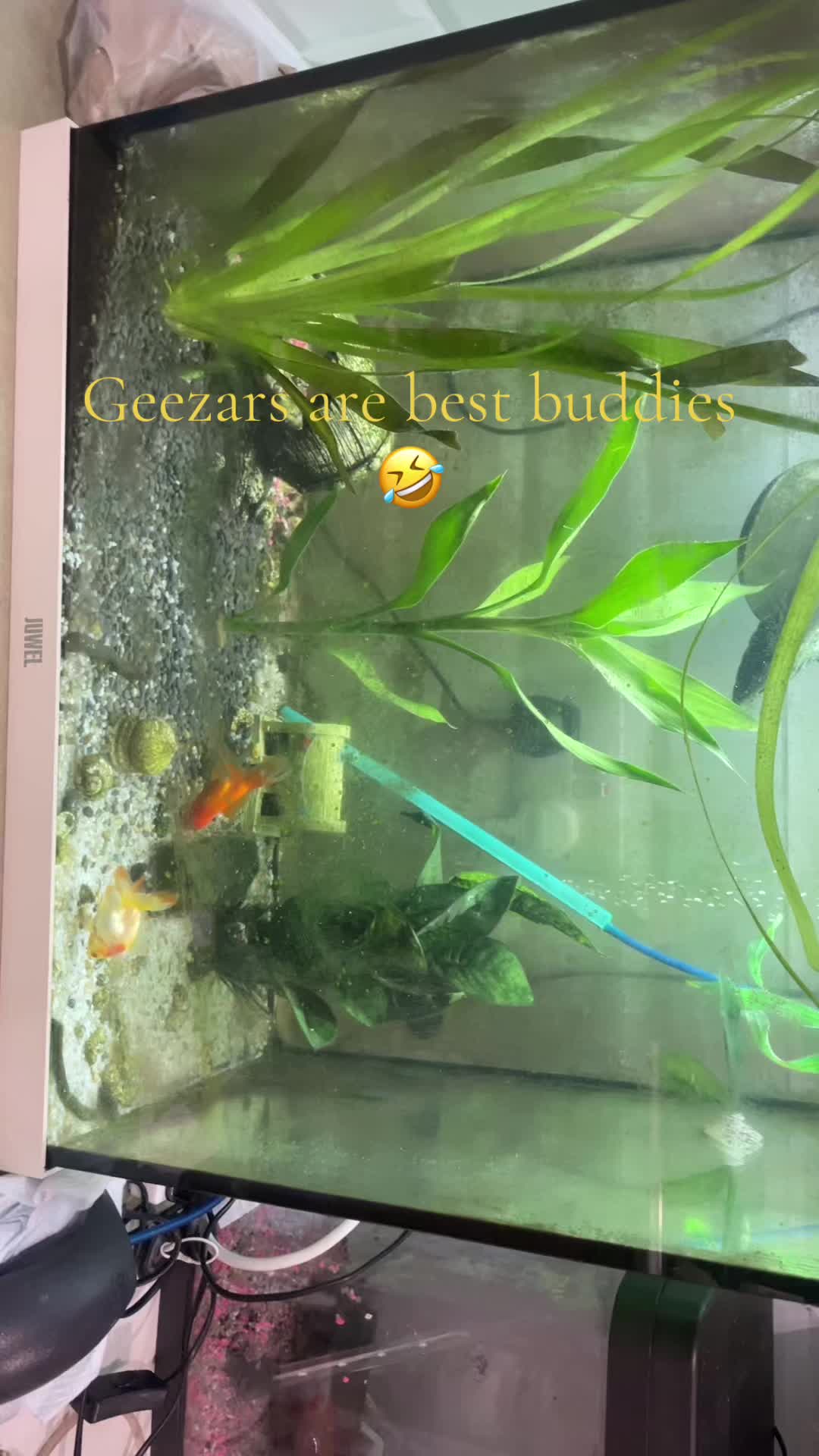 @CRBaquatics