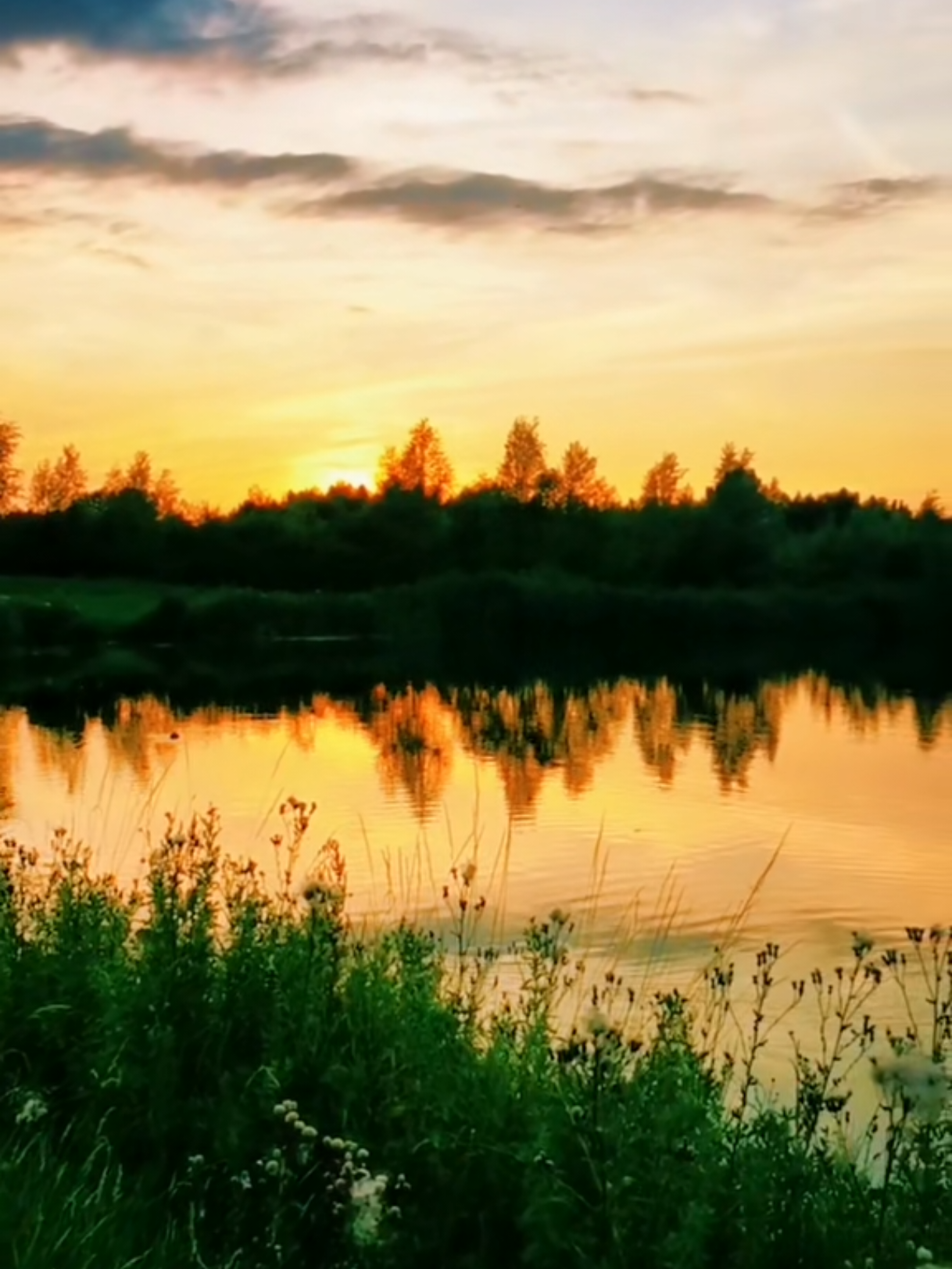 @Khurramsch