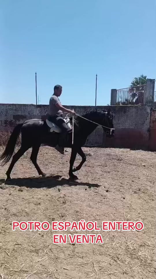@mariiapavoon