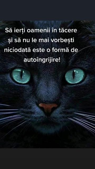 @Gabriela