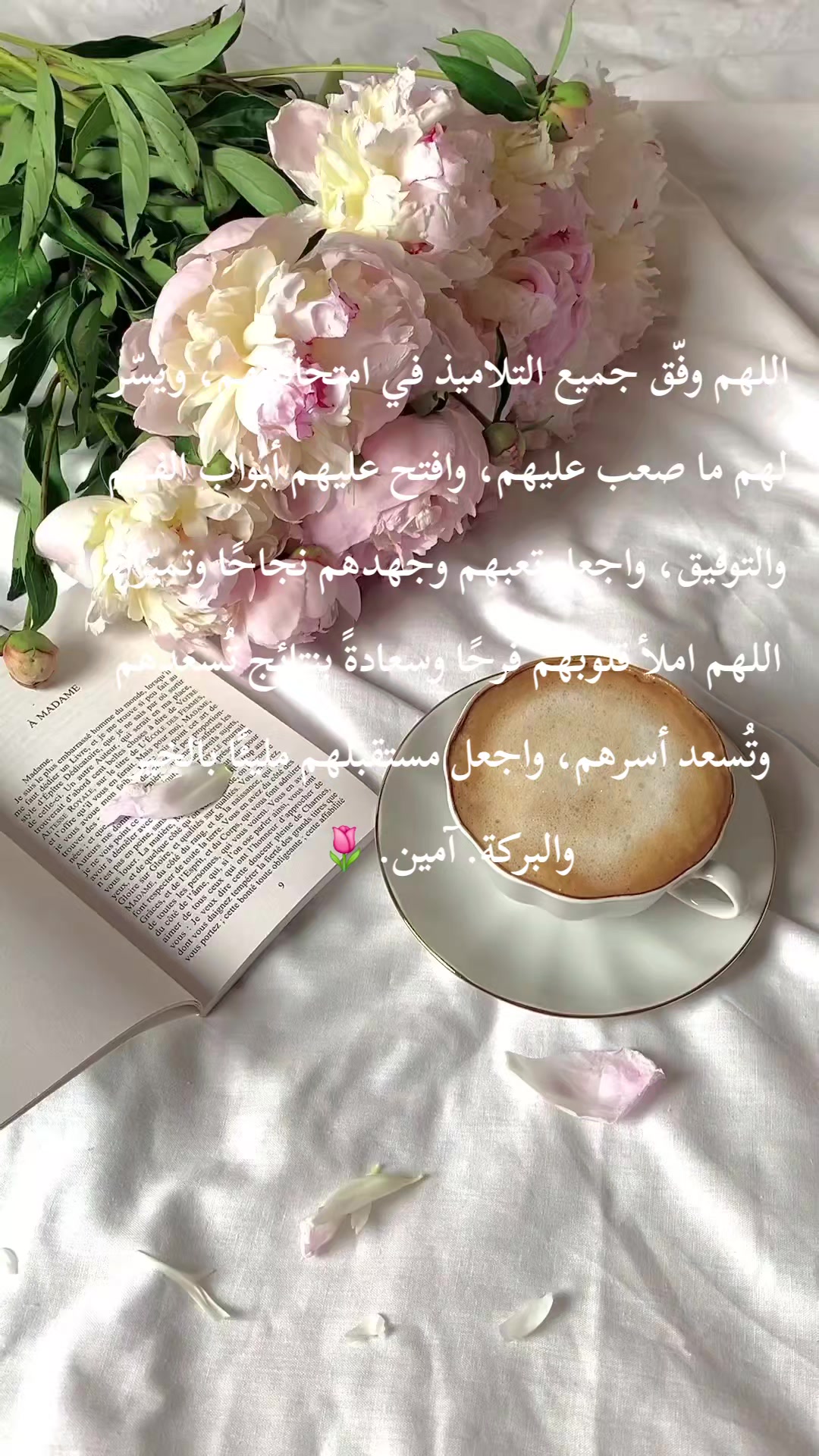 @نور الأمل