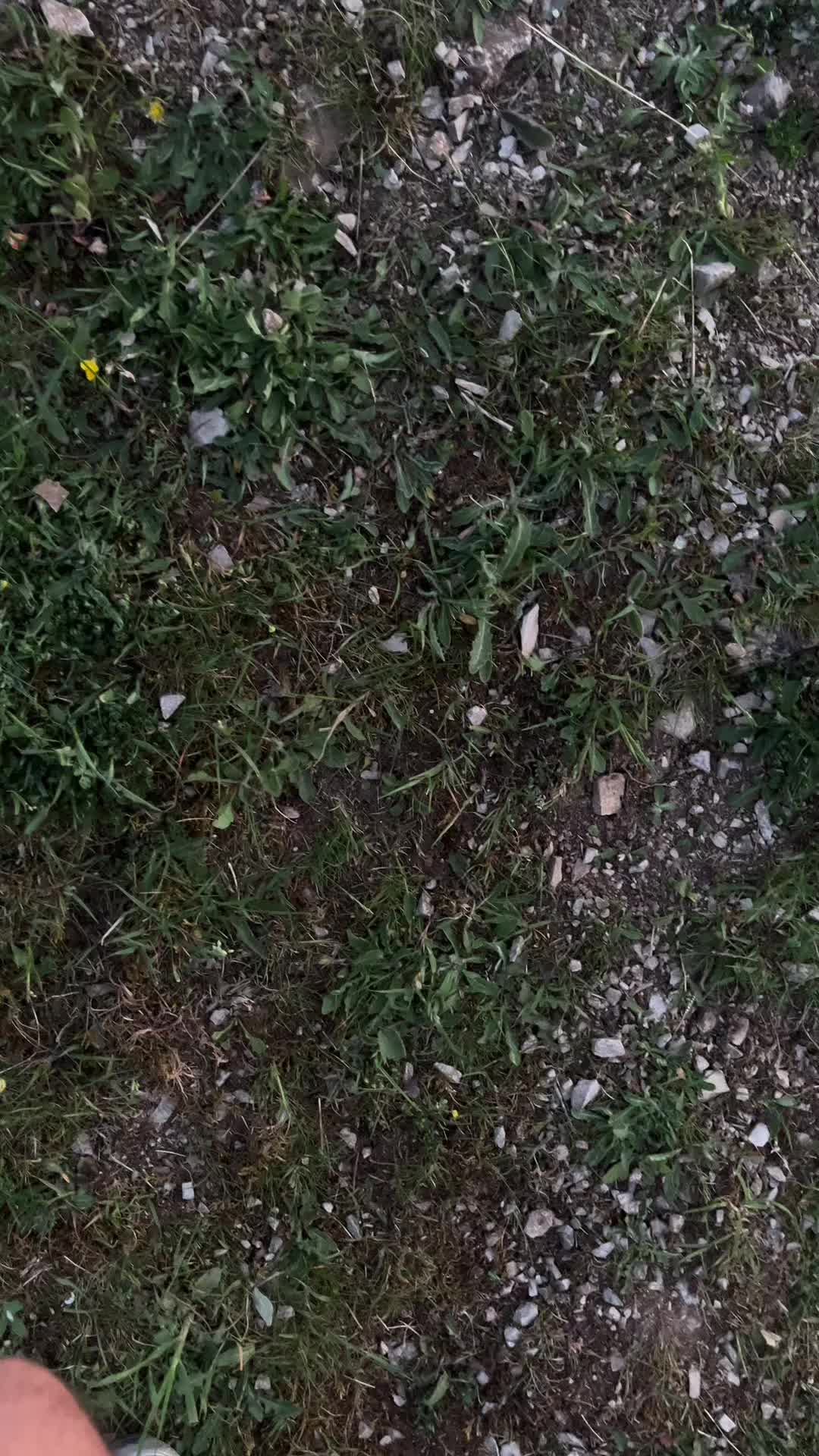 @Adam7