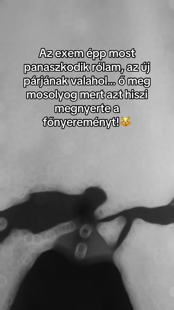 @❤️𝖇𝖗𝖎𝖌𝖔𝖔𝖔❤️