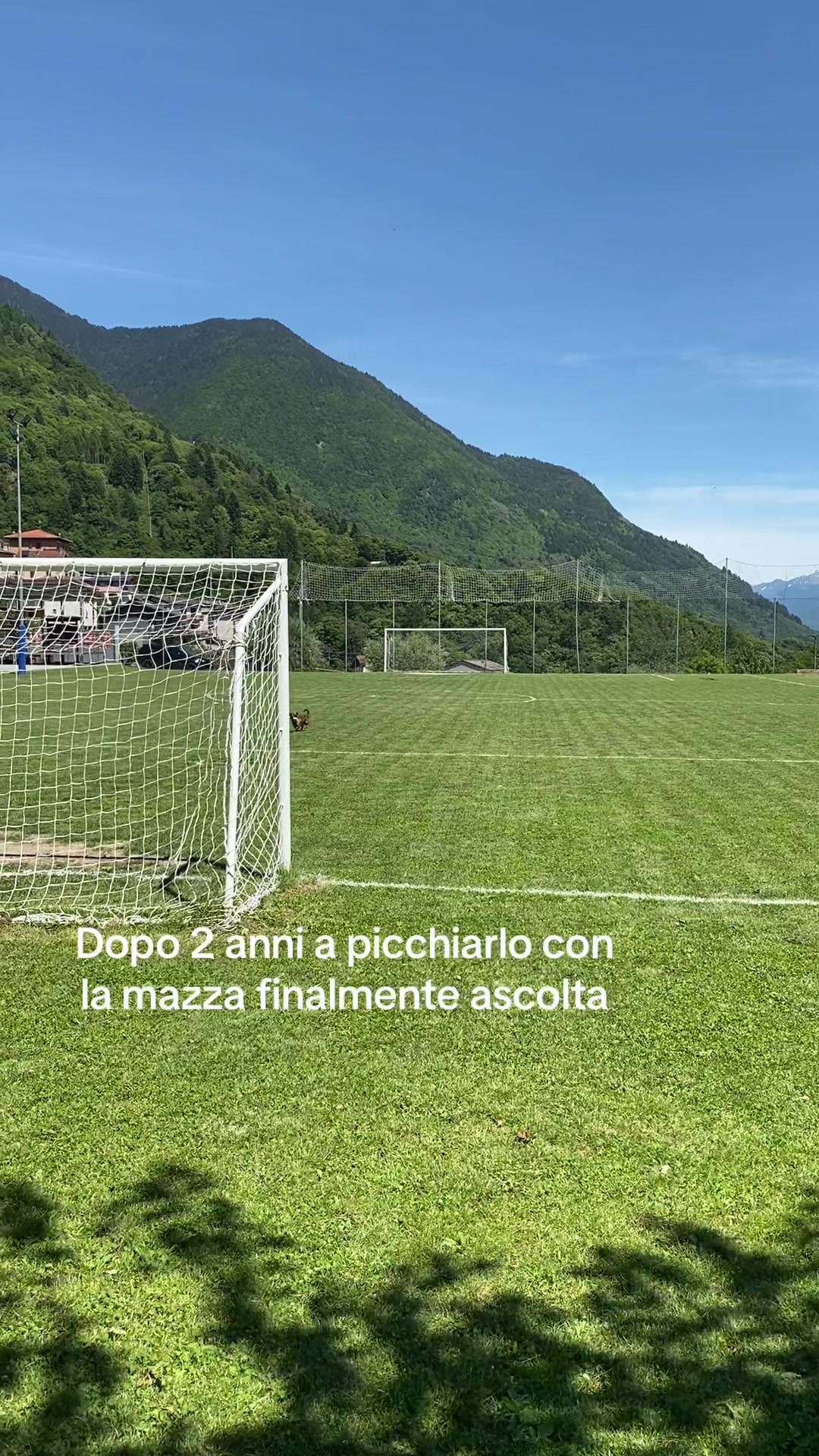 @Enrico Cova