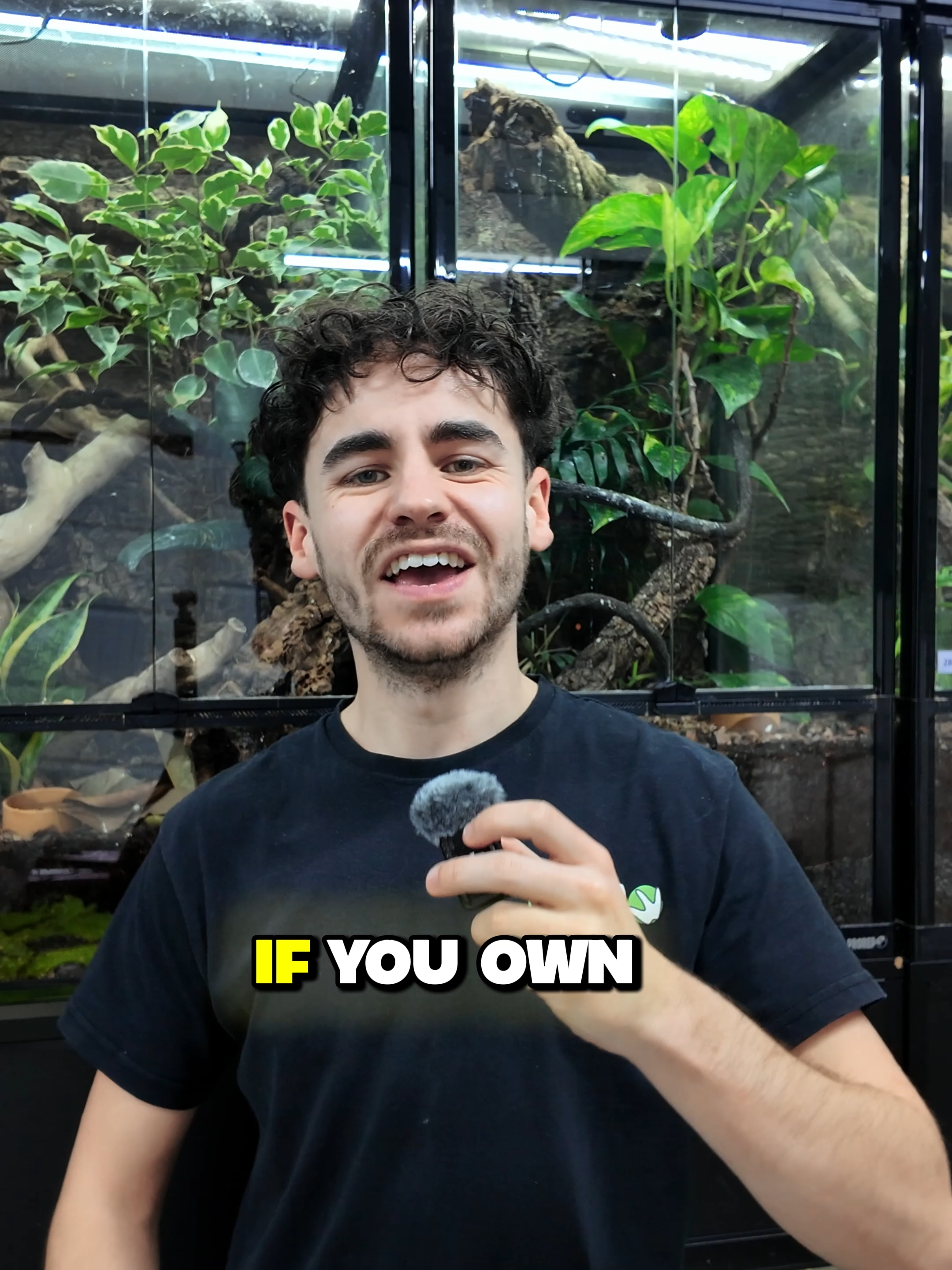 @prorep_reptile