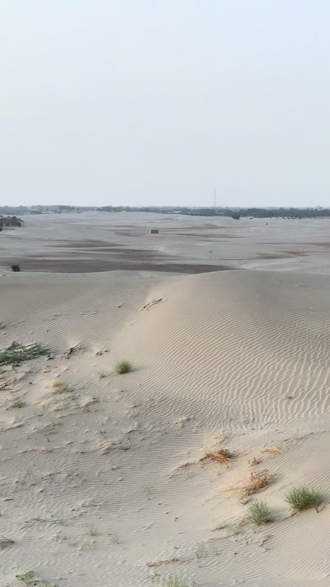 @شیرگڑھ تھل💫