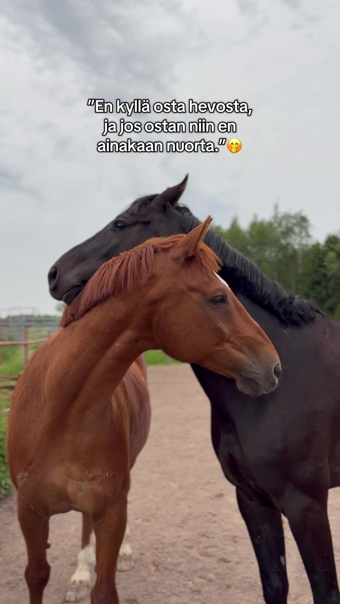 @Minja Hindstr&ouml;m