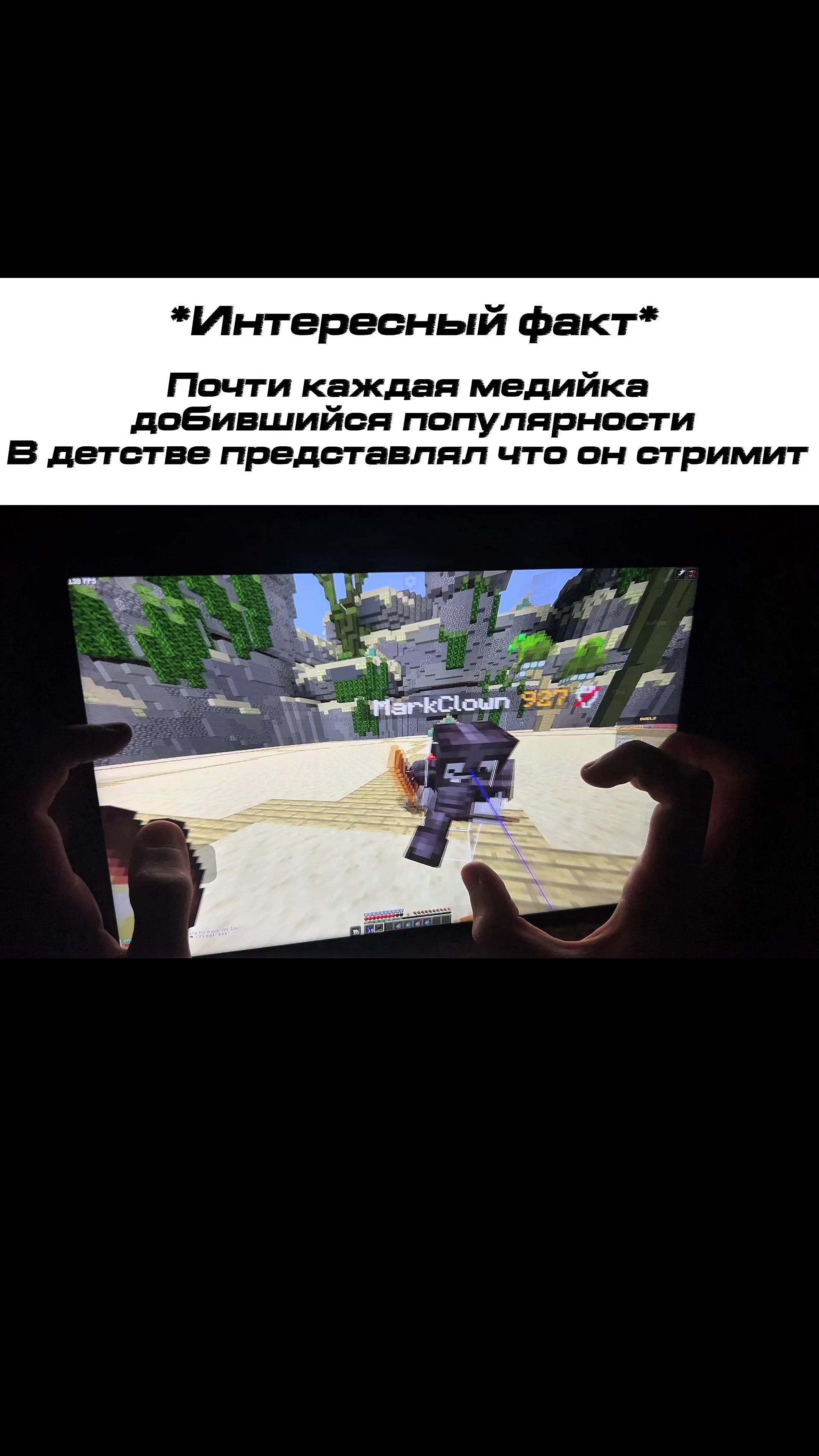 @Evelunx - Zalith launcher