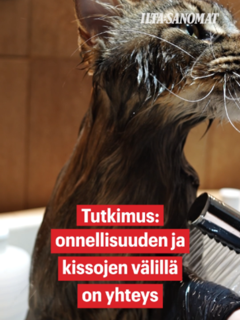 @Ilta-Sanomat