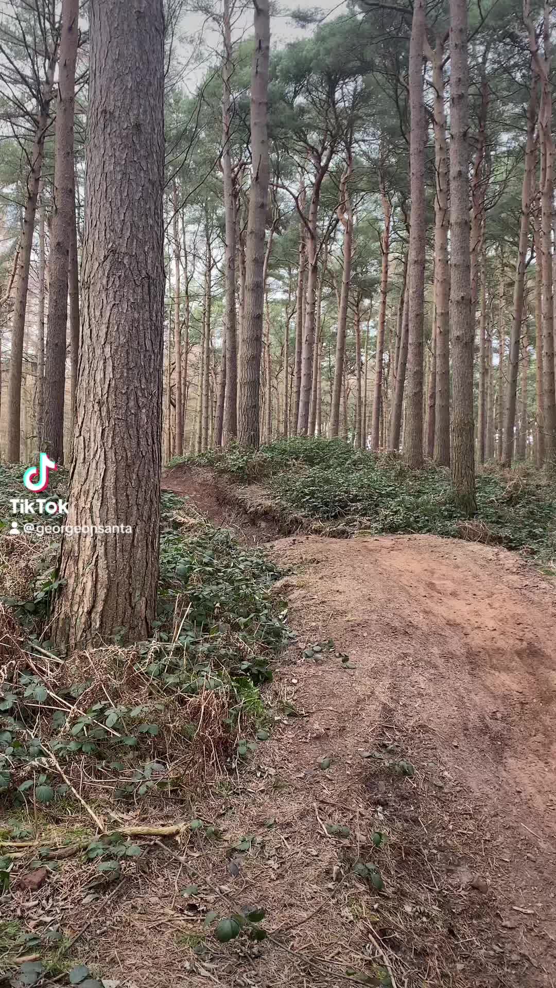 @georgeonsanta