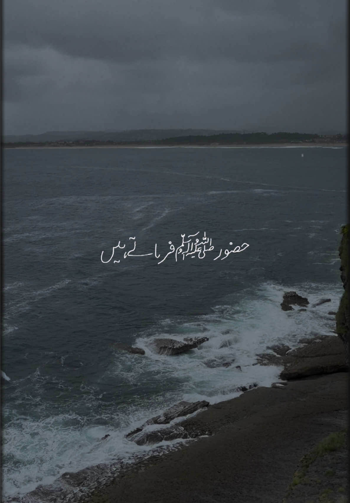 @Dr Sana 4696