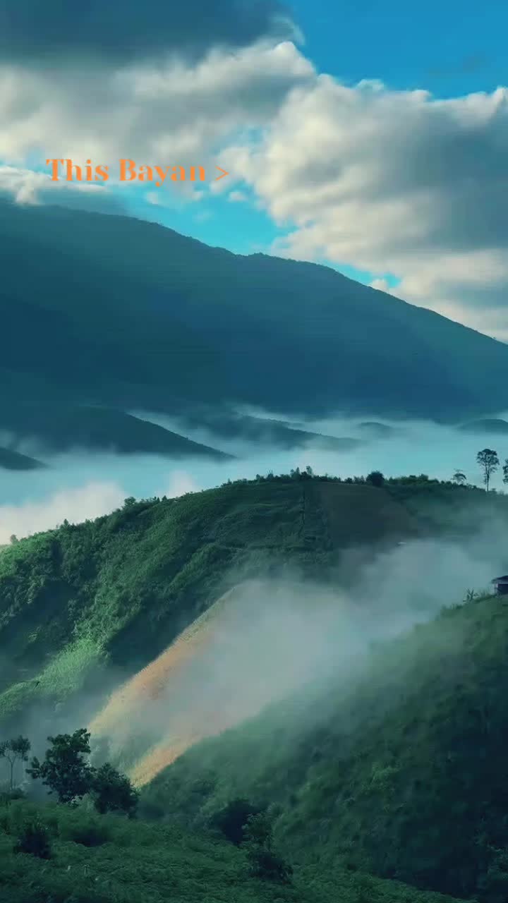 @ᴀʟ-Qᴜʀᴀɴ
