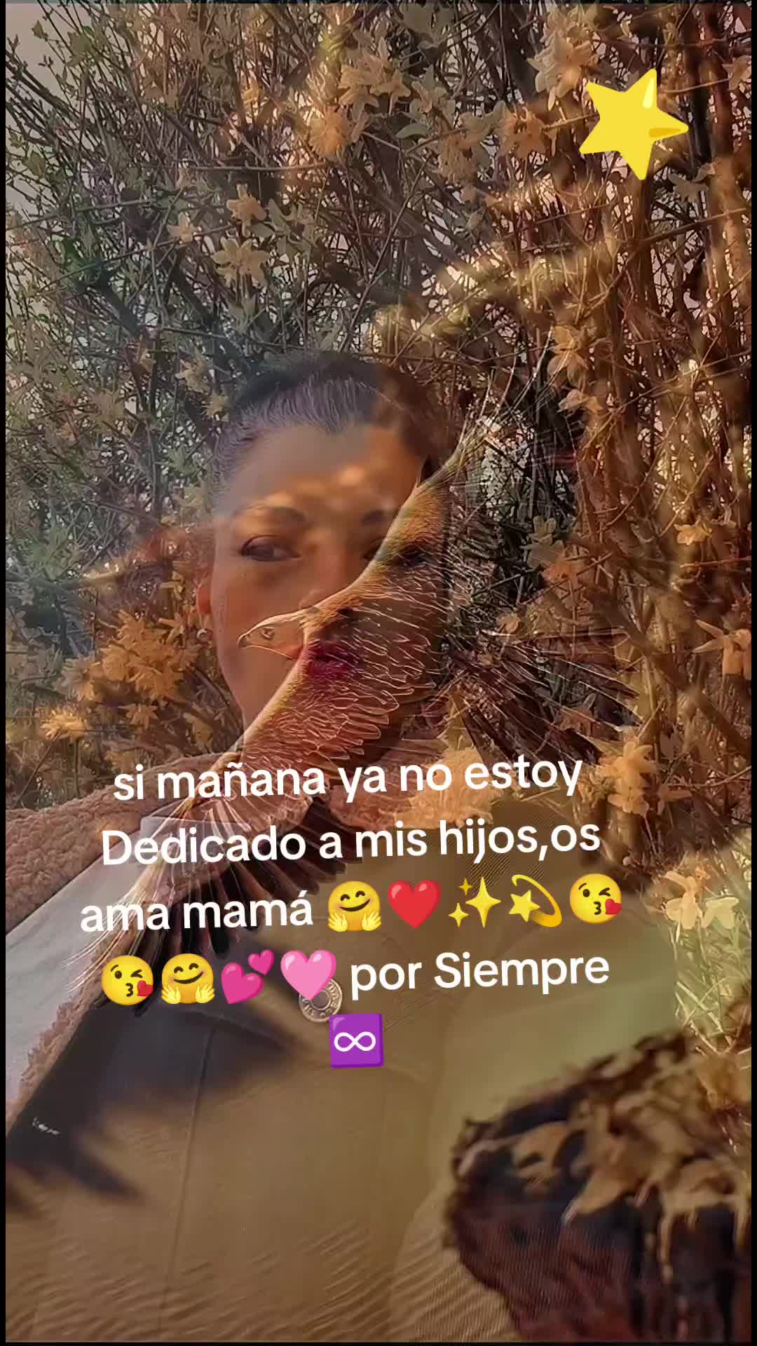 @johanna_la_reina_de_oves