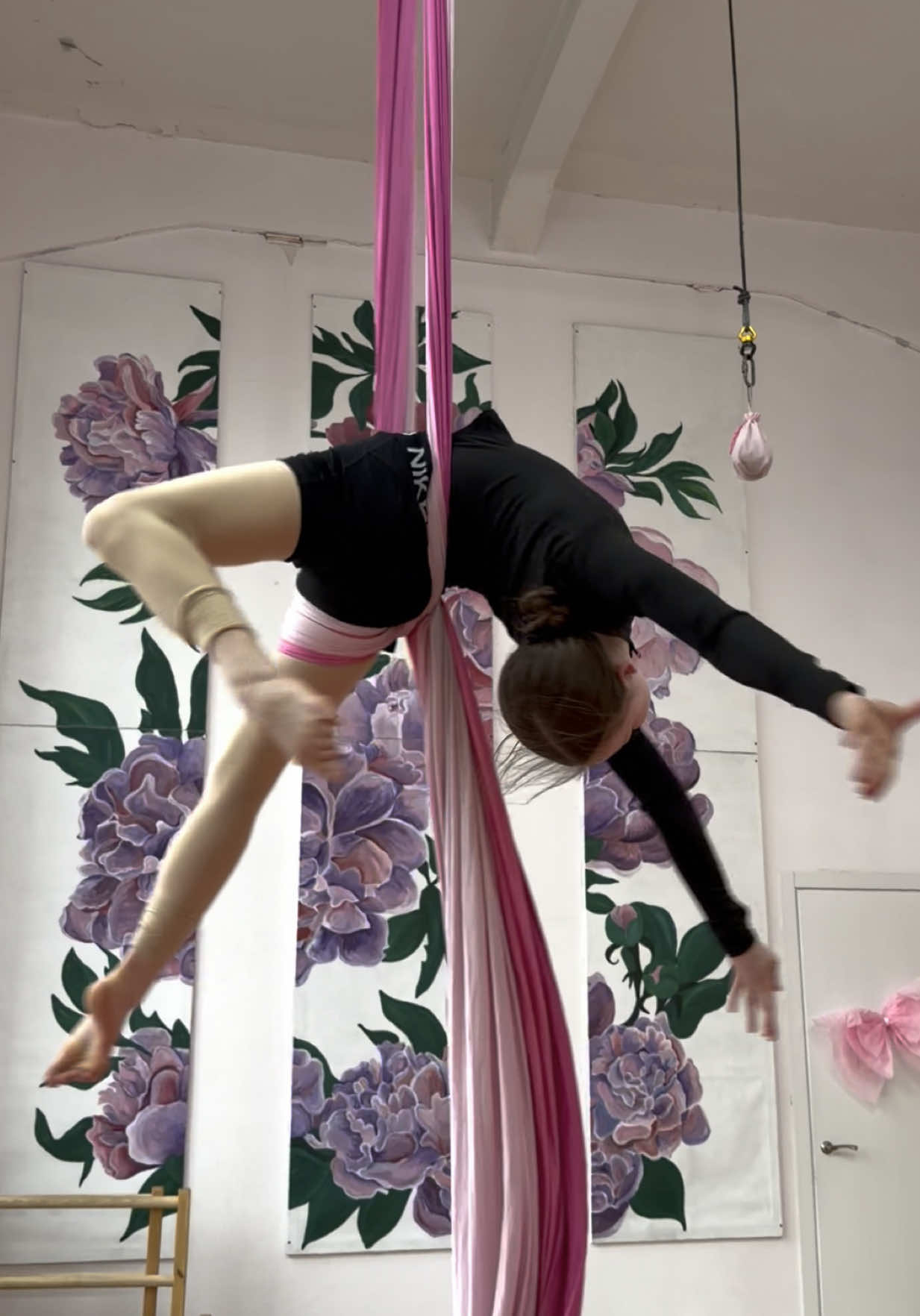 @Wellery Aerial Studio 🌸