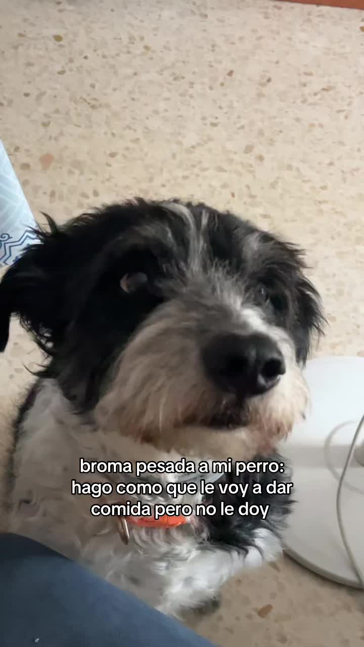 @Laura