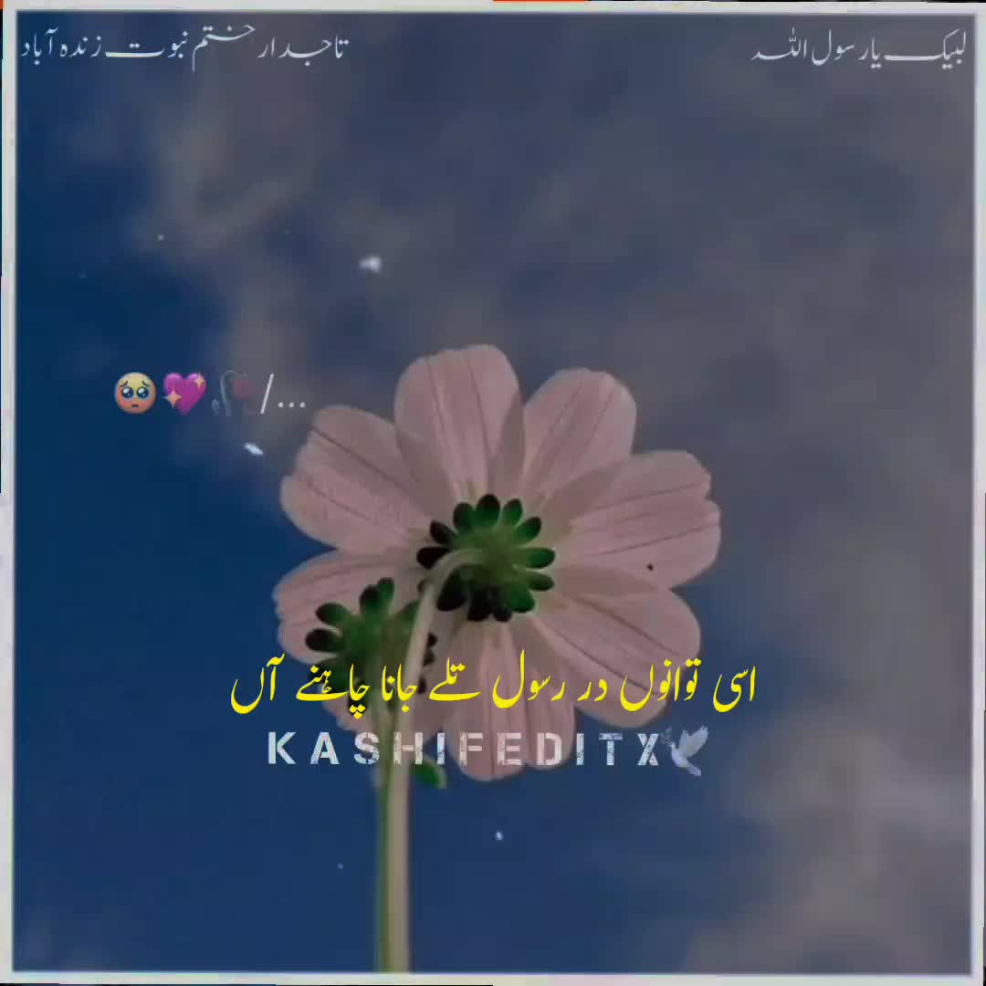 @Kashif Editx