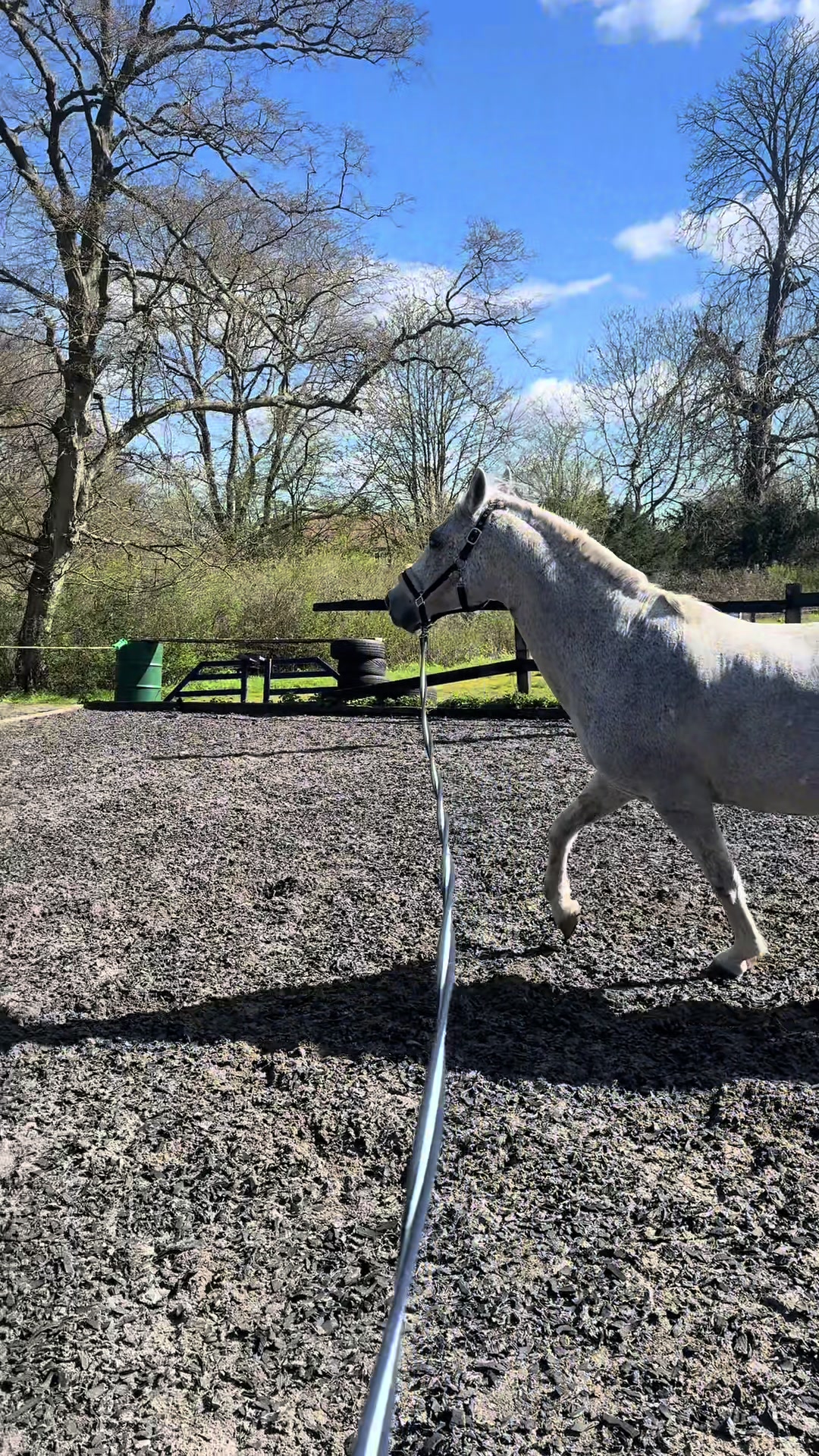 @Slough horses
