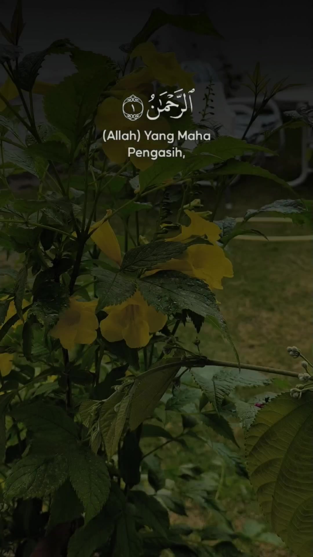 @Syed Zain Ulabidin