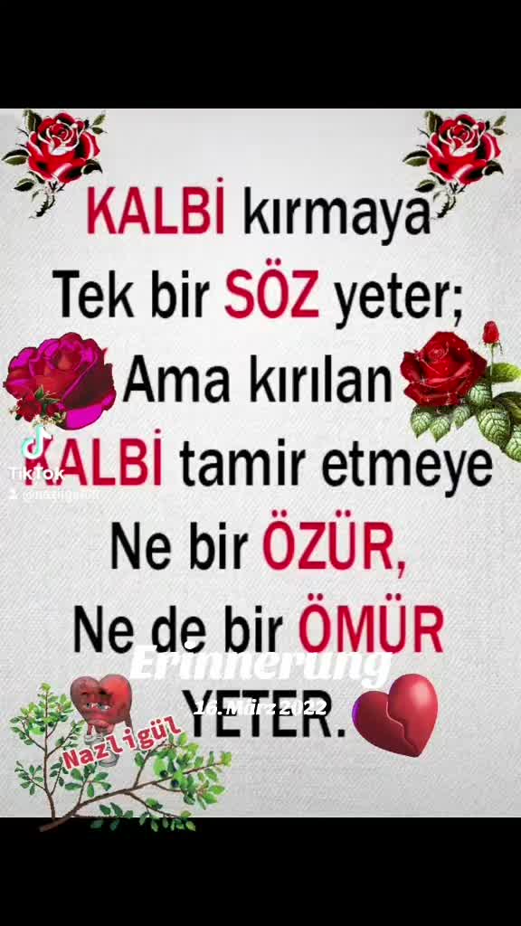 @Nazligül