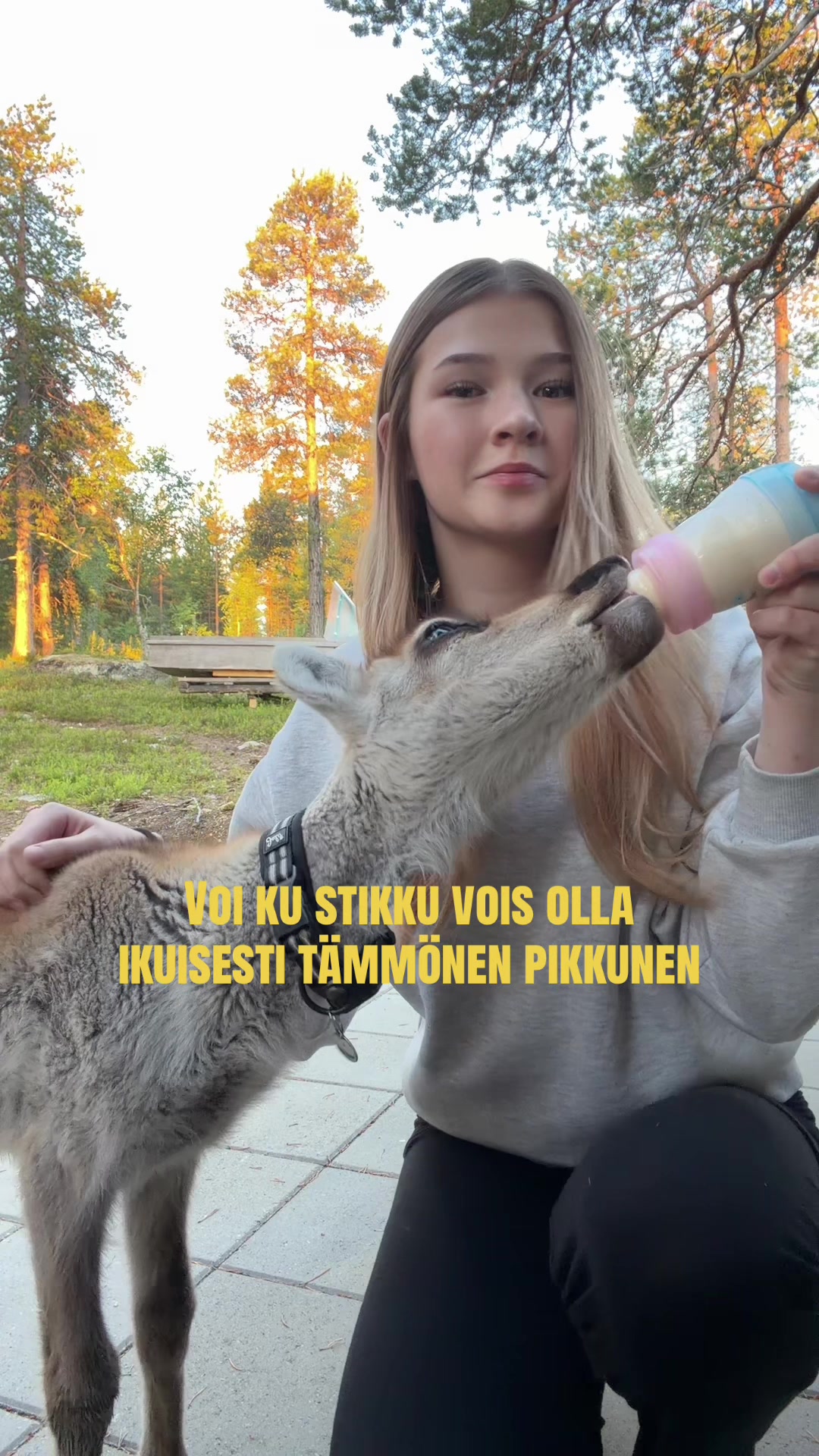@eltsu