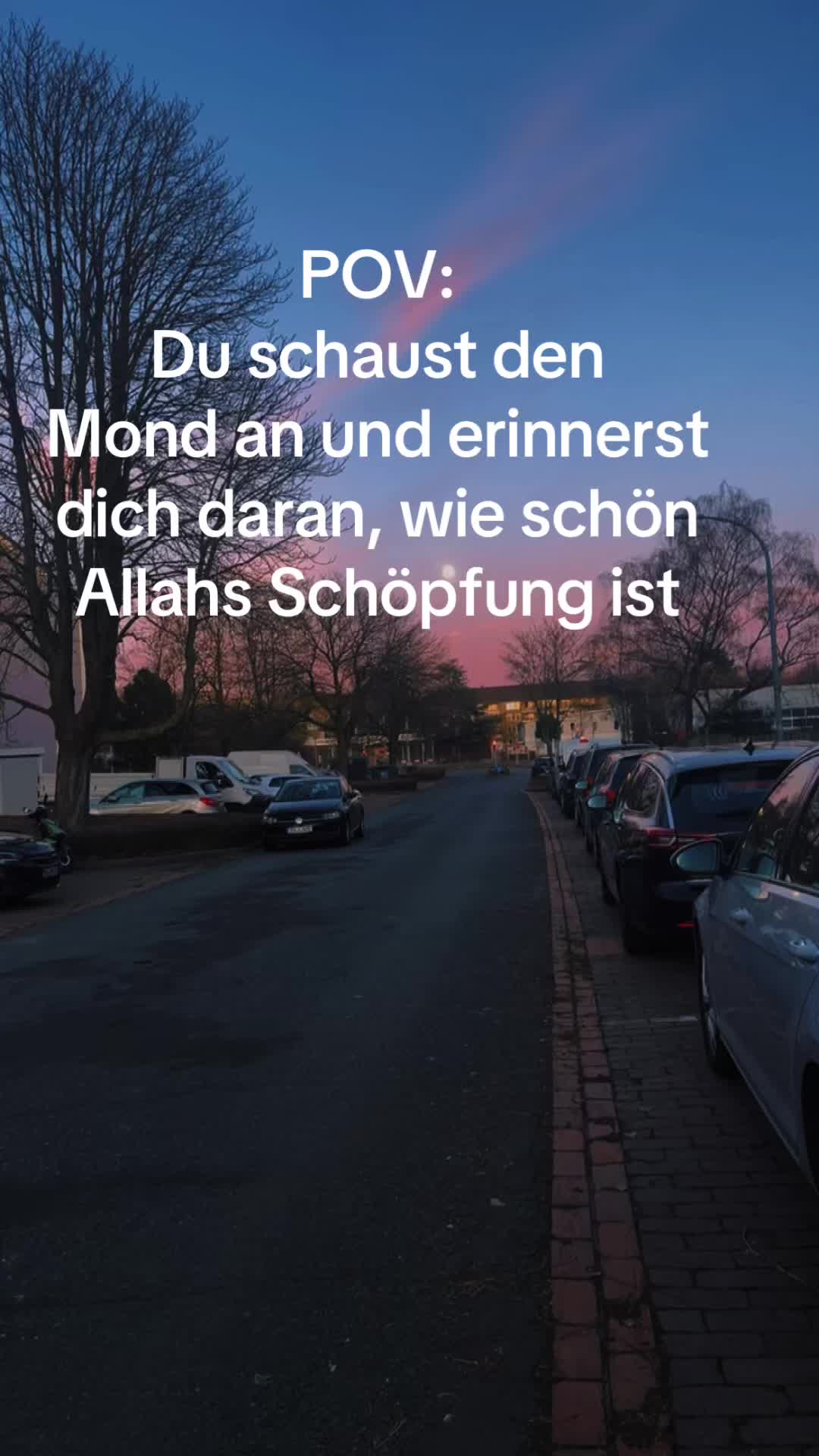@S🌹