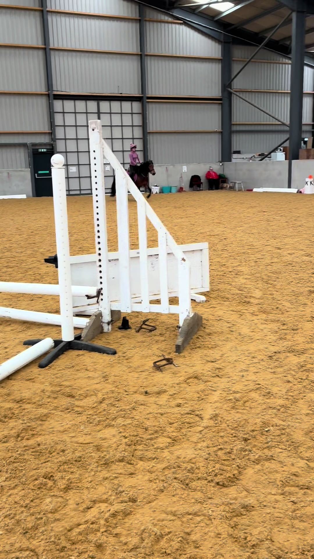 @Freya_horses