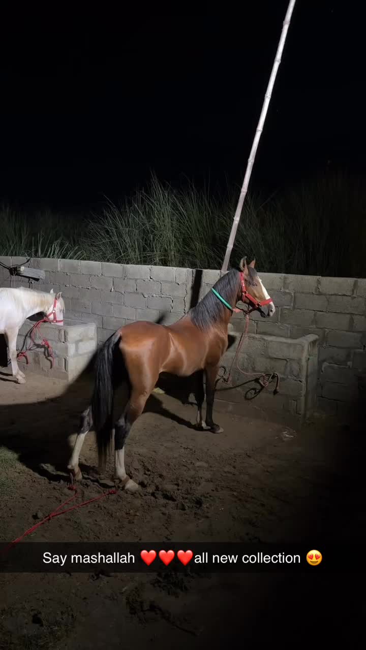 @𝗗𝟰𝗪𝗜𝗜