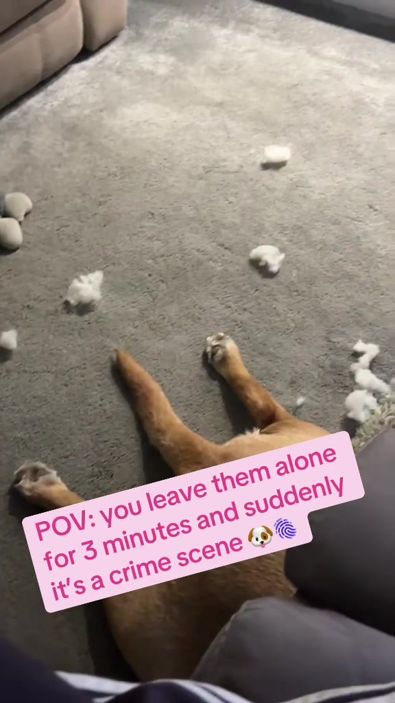 @Goldenwaggytales