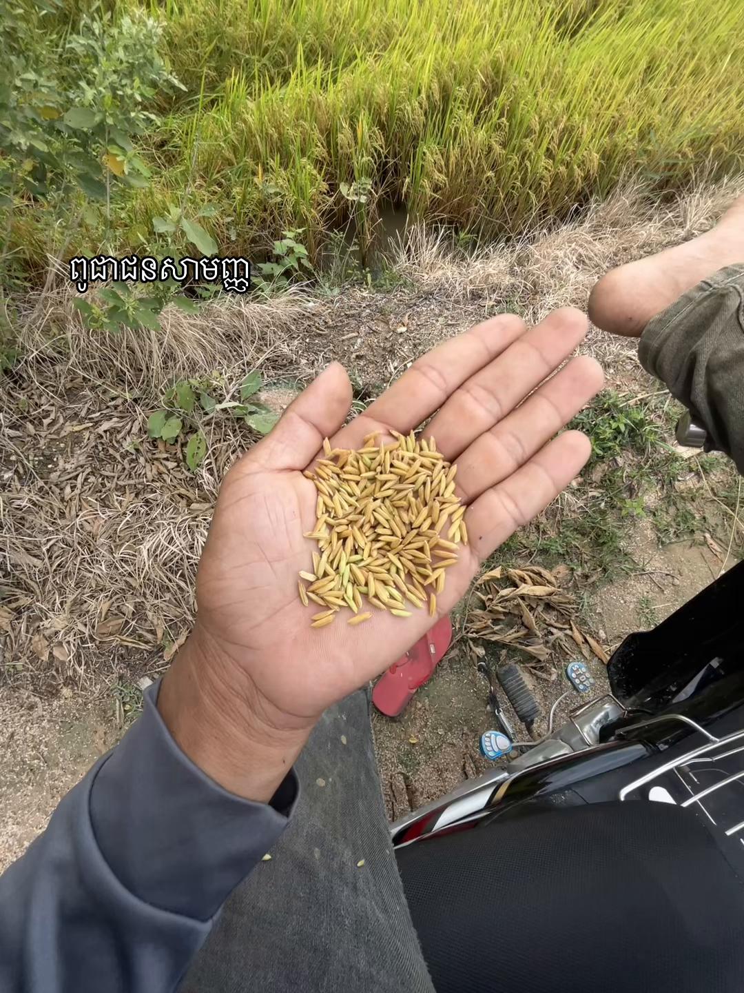 @Ahn Ahsai ៚ជើងកាងប្រចាំភូមិ🤔