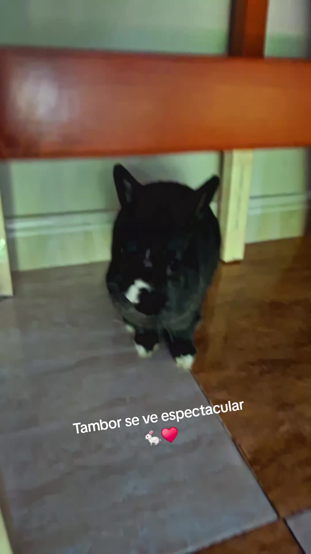 @Maria Pilar Chivo Ar