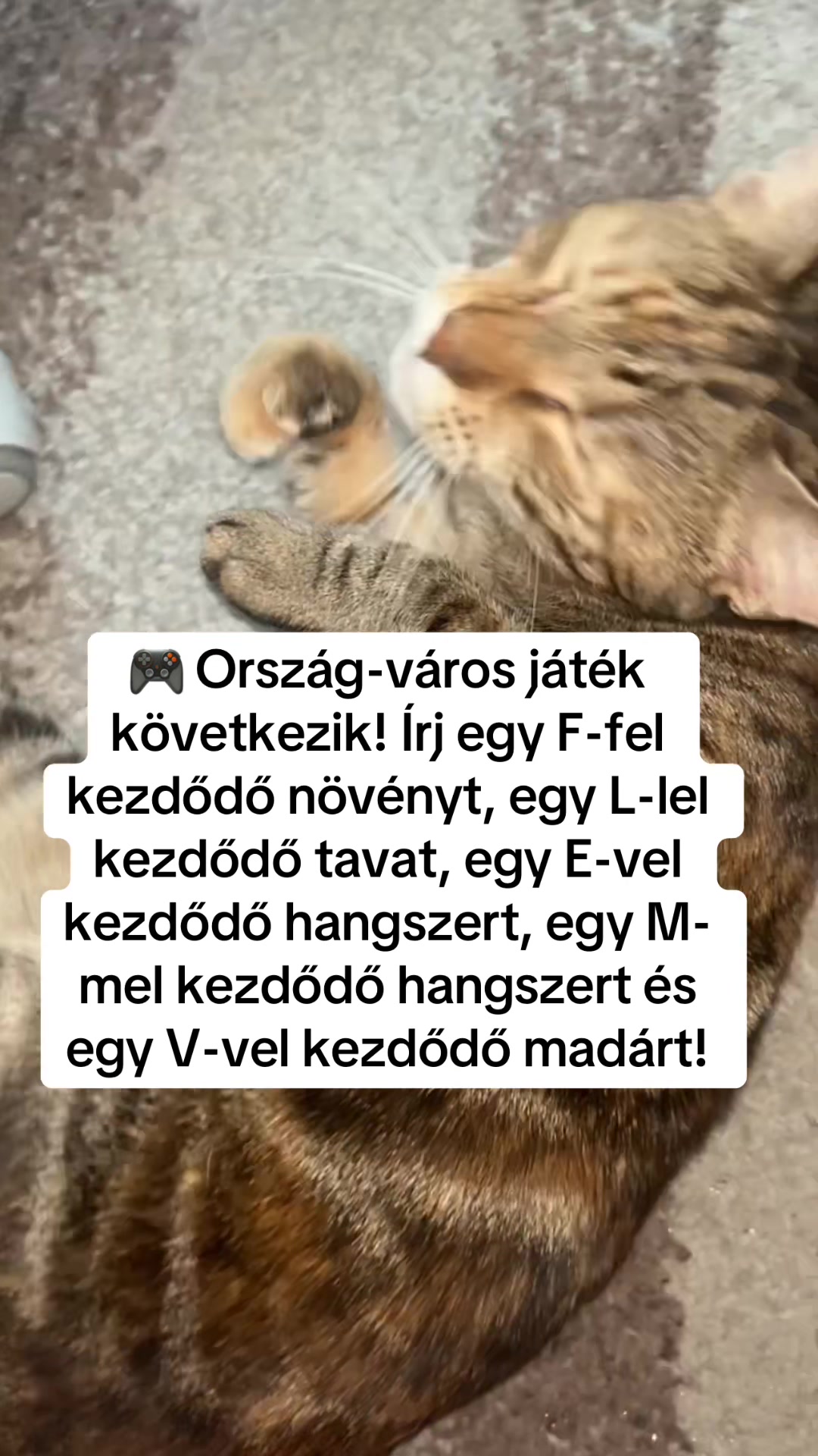 @Bizso, játssz velem naponta