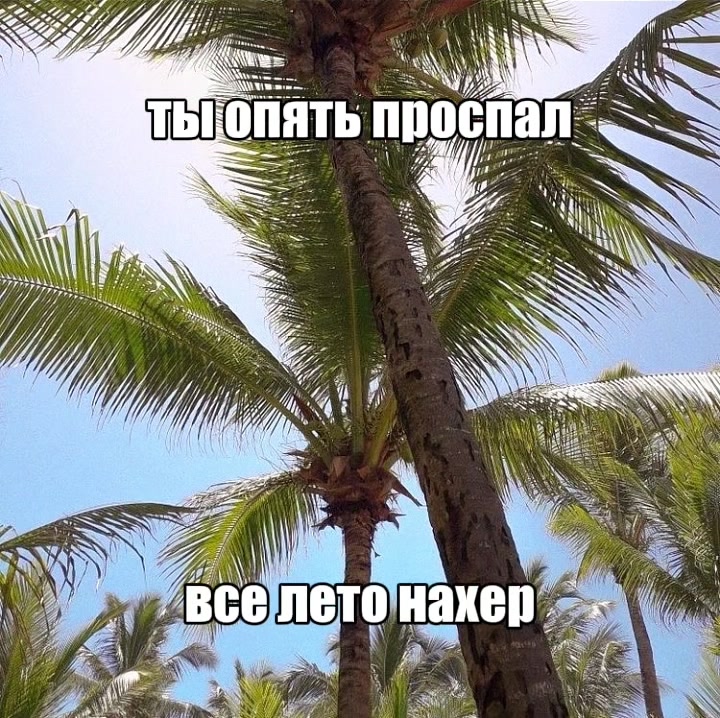 @luna