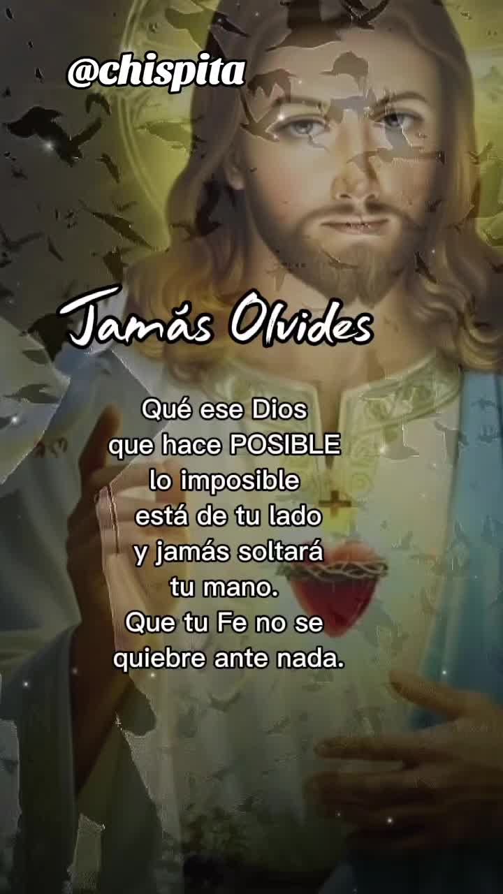 @👤Chispita