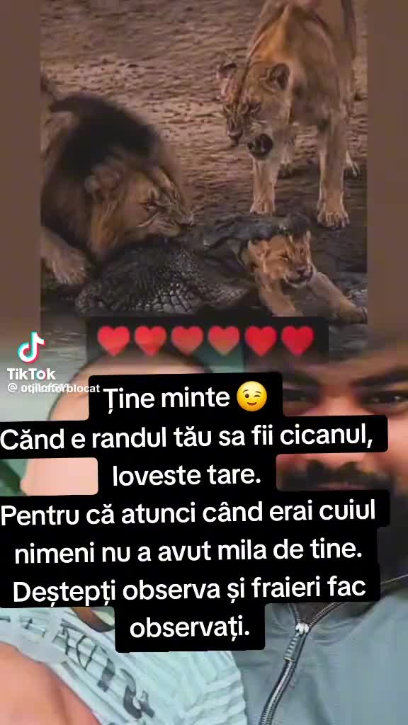 @๐๐๐๐๐จ๐๐จ๐๐๐๐๐๐ฅ๐๐