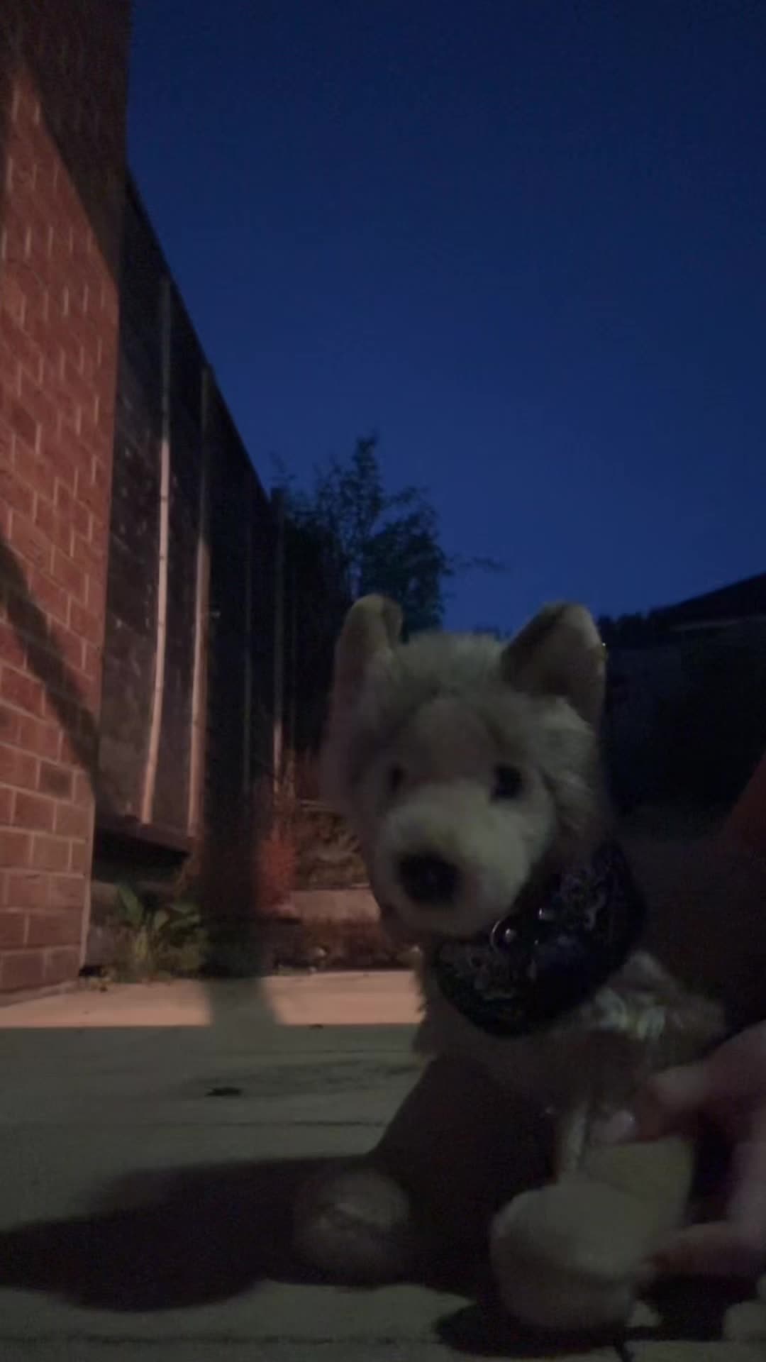 @🦴˖˚ ᴊ𝘶ꪀꫀ ˖˚🌼