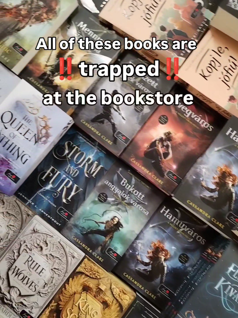 @Evi's bookish corner