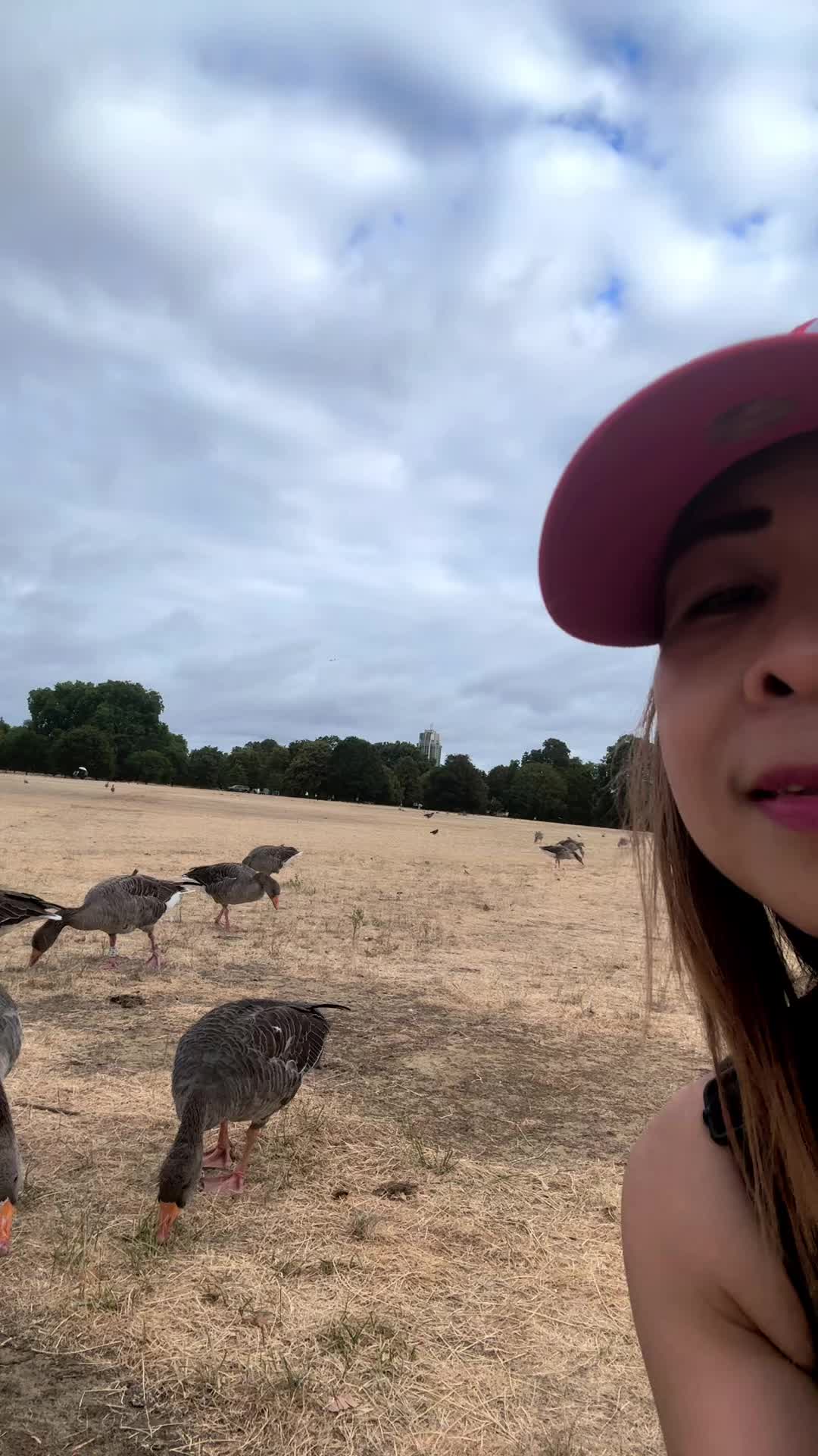 @Ycrem