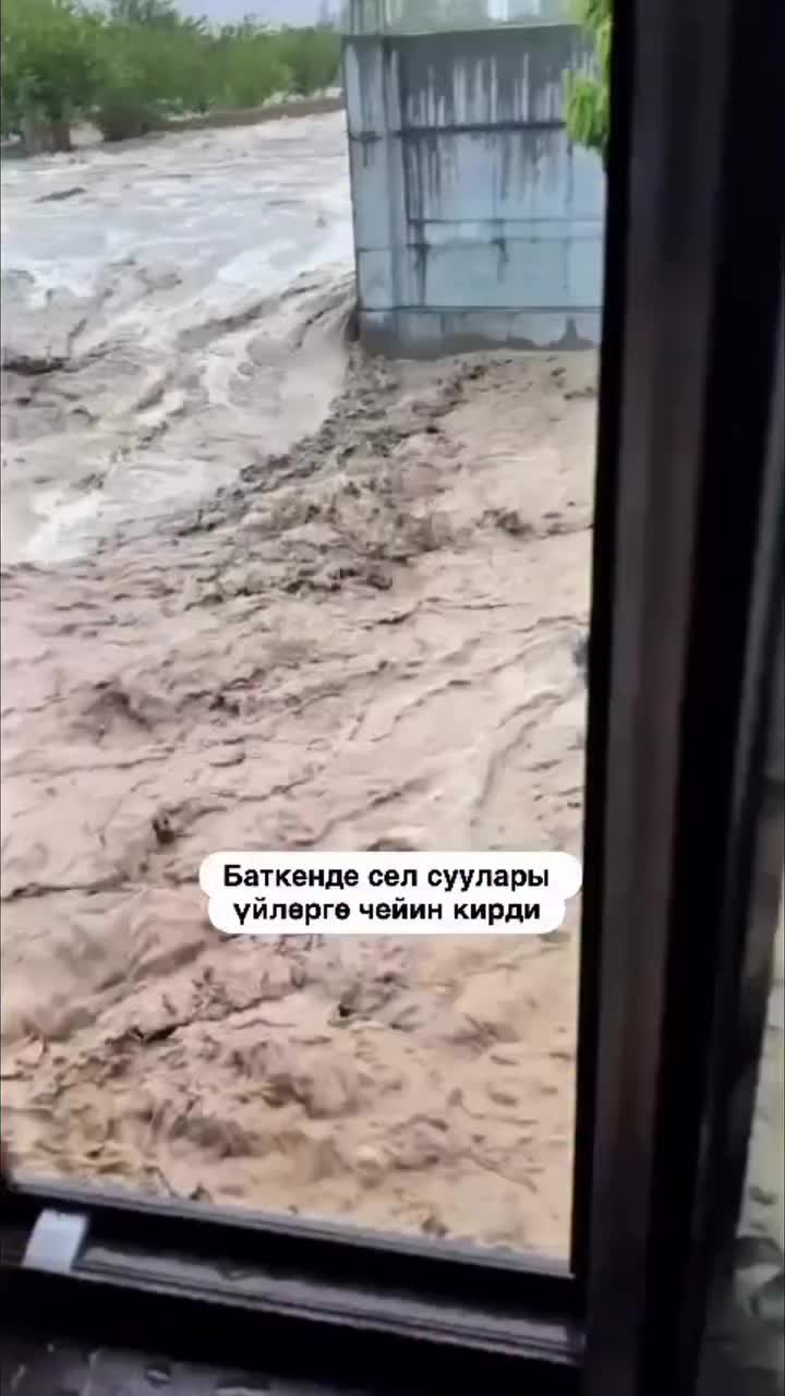 @aitievv_