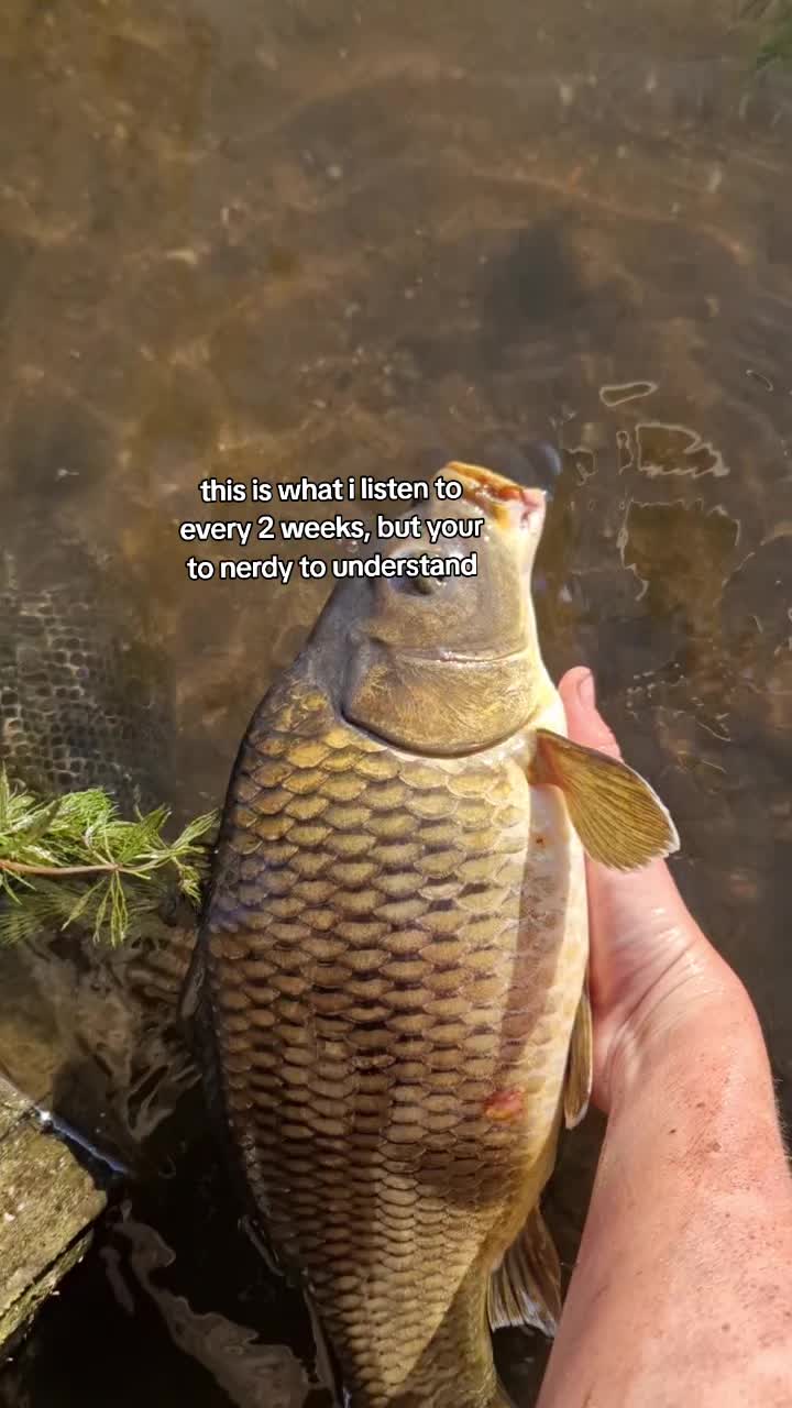 @Carpy Brez