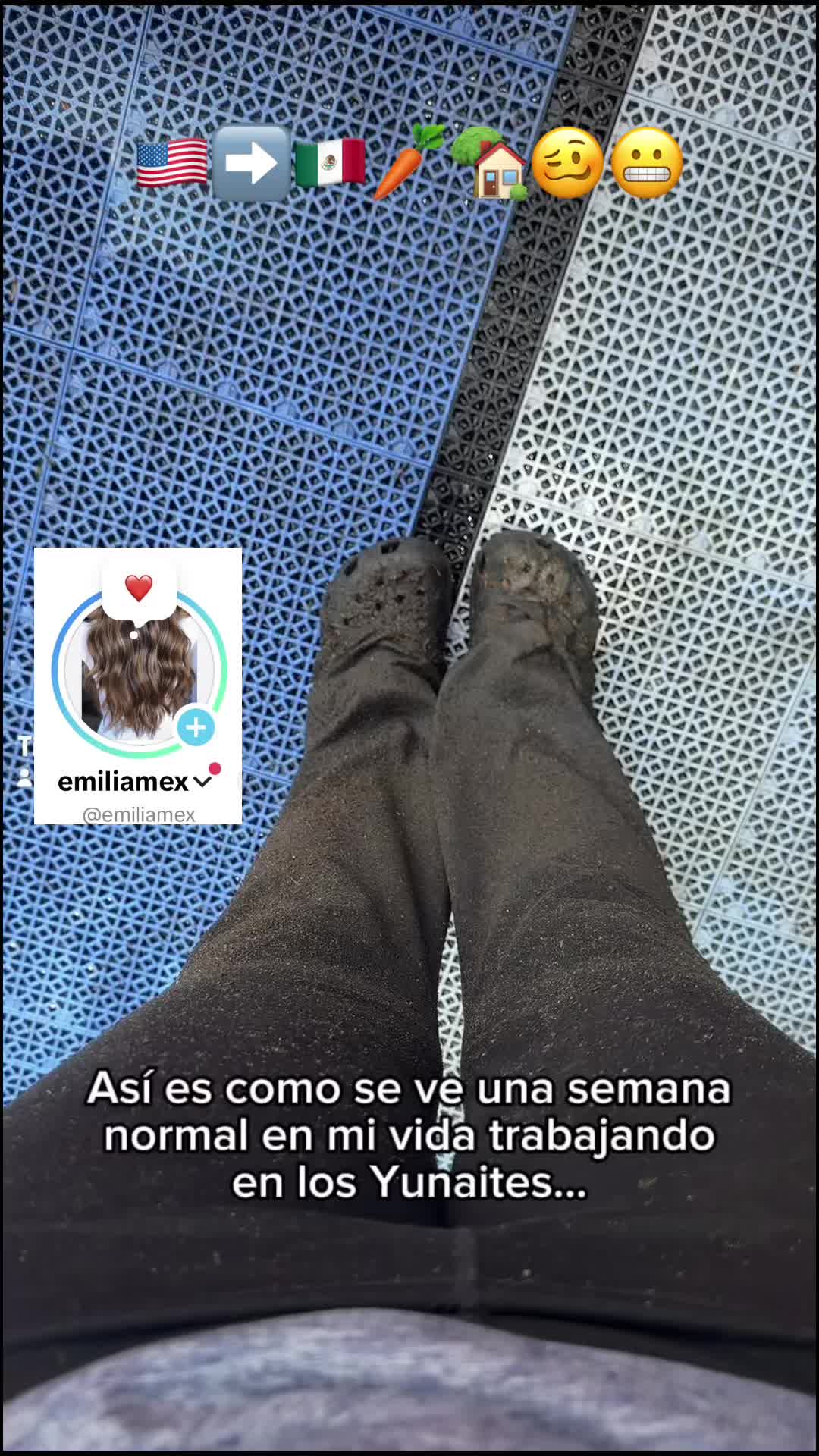 @emiliamex