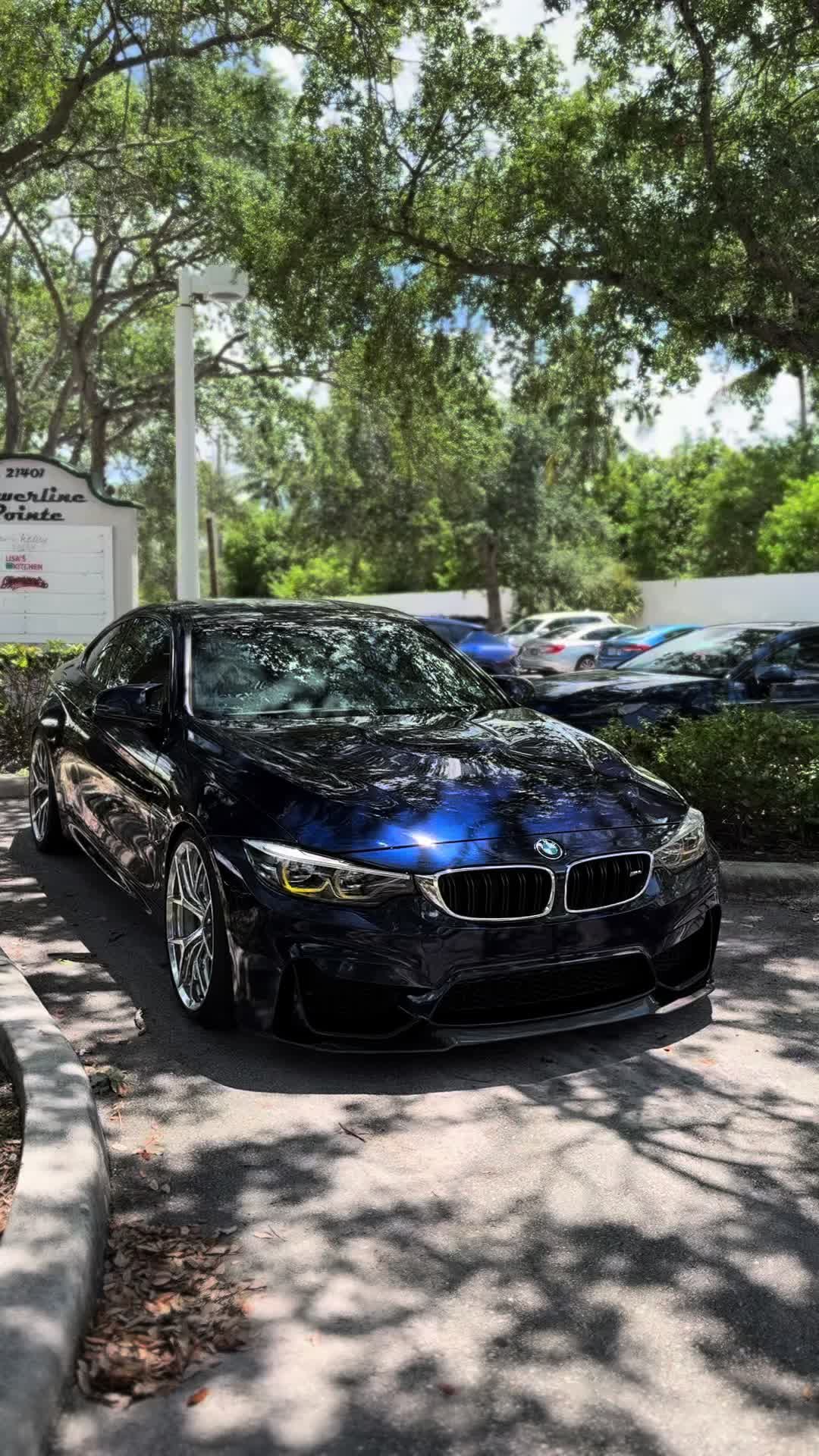 @m4rphy
