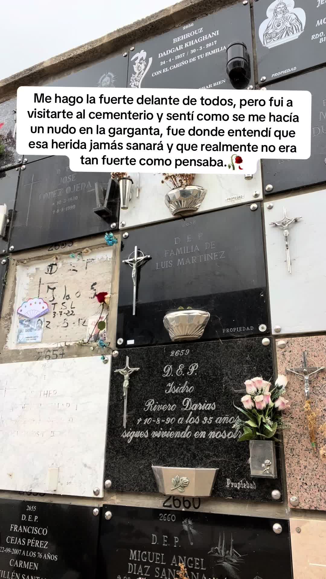 @Stacy Saavedra