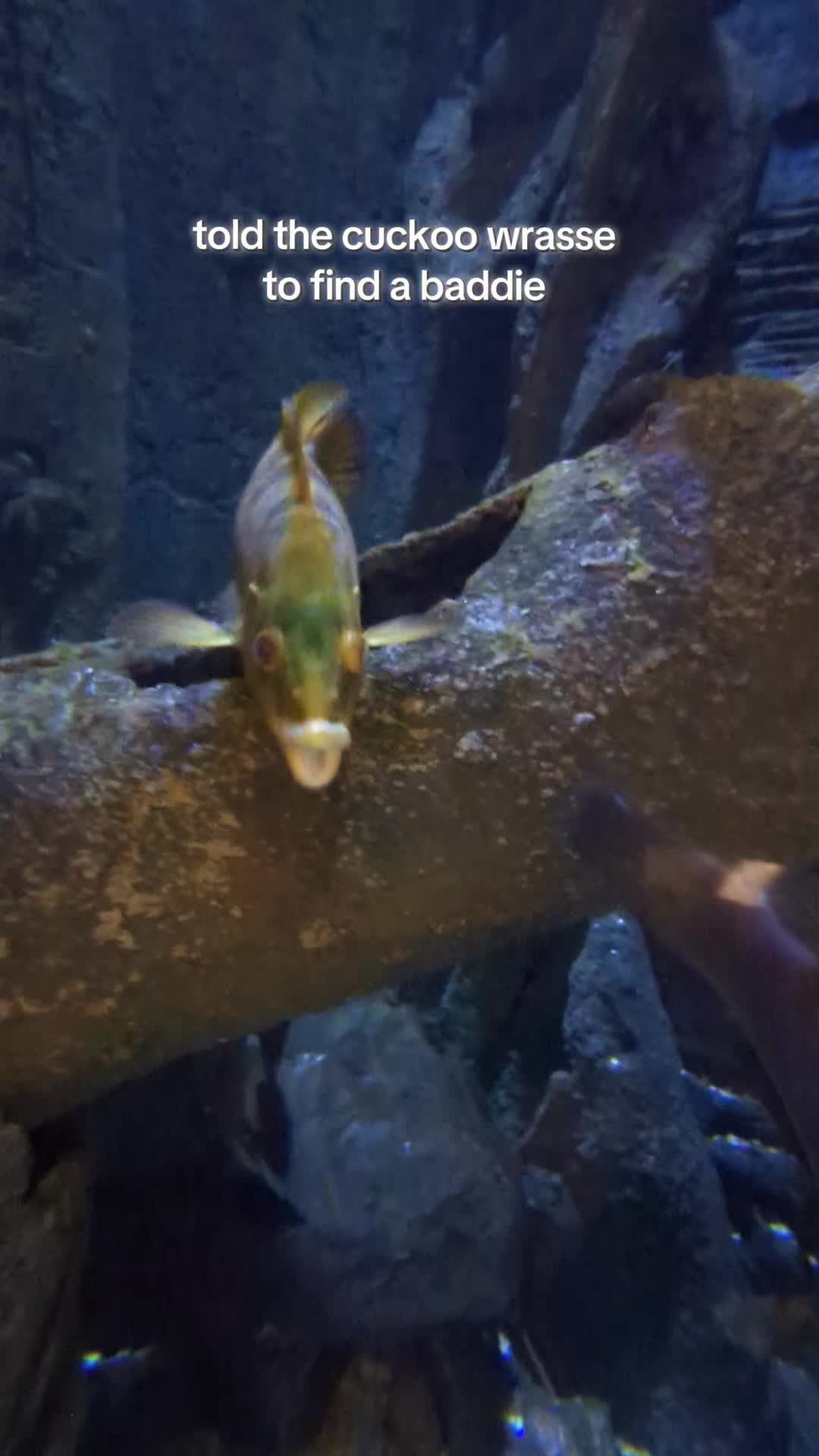 @BristolAquarium