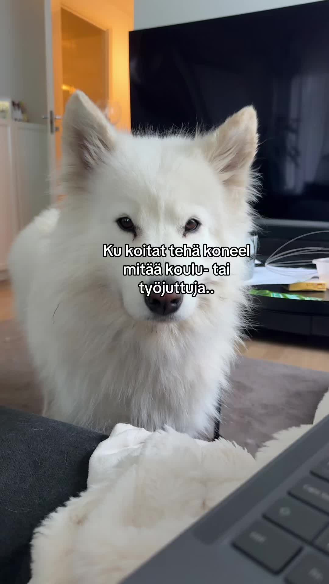 @Pinja 🫶🏼