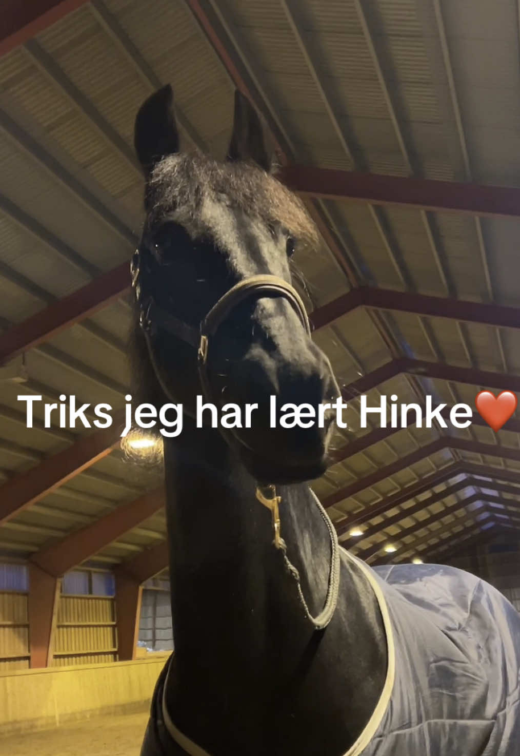 @𝑀𝑎𝑑𝑒𝑙𝑒𝑛