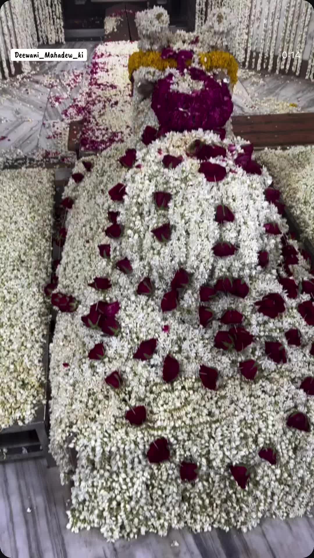@Deewani_Mahadew_ki 🕉️☯️