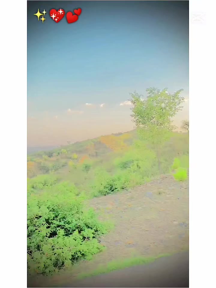 @N JAN 🩷🦅❤️